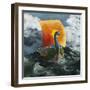 Voyage of the Peacock-Jamin Still-Framed Giclee Print