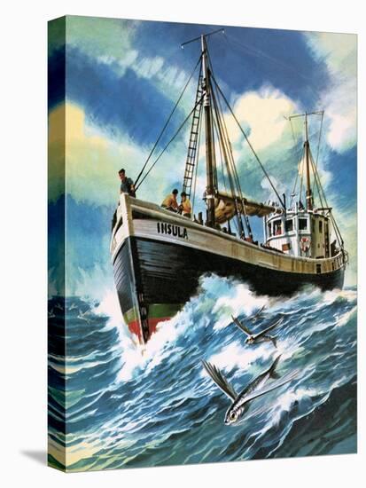 Voyage to the Spanish Main-Wilf Hardy-Stretched Canvas