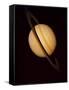 Voyager 1 Image of Saturn & Three of Its Moons-null-Framed Stretched Canvas