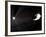 Voyager 1 Leaving the Solar System-null-Framed Photographic Print