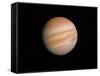 Voyager 1 Photo of Jupiter-null-Framed Stretched Canvas
