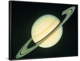 Voyager 1 Photo of Saturn & Its Rings-null-Framed Photographic Print