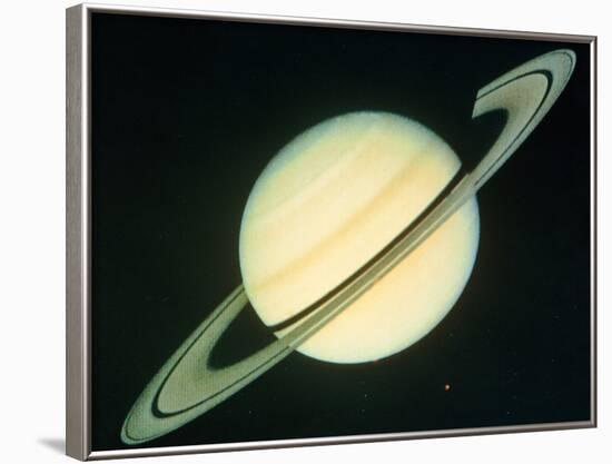 Voyager 1 Photo of Saturn & Its Rings-null-Framed Photographic Print