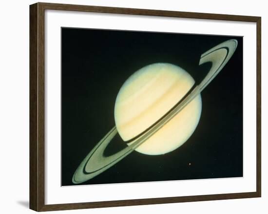 Voyager 1 Photo of Saturn & Its Rings-null-Framed Photographic Print