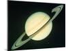 Voyager 1 Photo of Saturn & Its Rings-null-Mounted Photographic Print