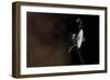 Voyager 1 Spacecraft Entering Interstellar Space-null-Framed Premium Giclee Print