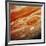 Voyager 2 Image of Jupiter, Showing Great Red Spot-null-Framed Photographic Print