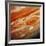 Voyager 2 Image of Jupiter, Showing Great Red Spot-null-Framed Photographic Print