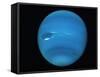 Voyager 2 Image of the Planet Neptune-null-Framed Stretched Canvas