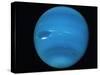 Voyager 2 Image of the Planet Neptune-null-Stretched Canvas