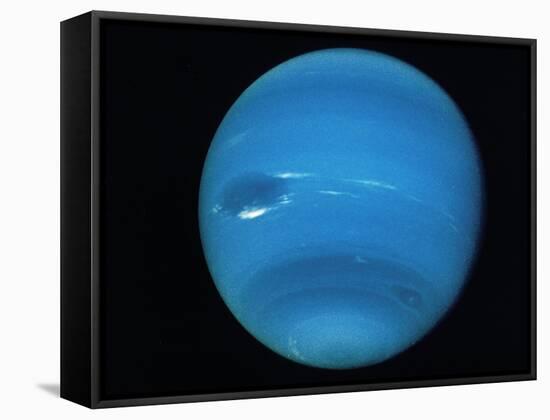 Voyager 2 Image of the Planet Neptune-null-Framed Stretched Canvas