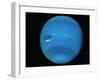 Voyager 2 Image of the Planet Neptune-null-Framed Photographic Print