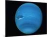 Voyager 2 Image of the Planet Neptune-null-Mounted Photographic Print