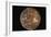 Voyager 2 Photo of Callisto, Jupiter's Fourth Moon-null-Framed Photographic Print