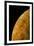 Voyager 2 Photo of Europa, One of Jupiter's Moons-null-Framed Photographic Print