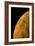 Voyager 2 Photo of Europa, One of Jupiter's Moons-null-Framed Photographic Print