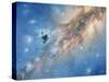 Voyager Spacecraft-Chris Butler-Stretched Canvas