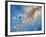 Voyager Spacecraft-Chris Butler-Framed Photographic Print