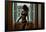 Voyeur 2-Craig J^ Brown-Framed Photographic Print