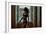 Voyeur 2-Craig J^ Brown-Framed Photographic Print