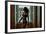 Voyeur 2-Craig J^ Brown-Framed Photographic Print