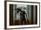 Voyeur 3-Craig J^ Brown-Framed Photographic Print