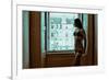 Voyeur 8-Craig J^ Brown-Framed Photographic Print