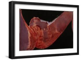 Voyeur-Graham Dean-Framed Giclee Print