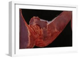 Voyeur-Graham Dean-Framed Giclee Print