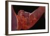 Voyeur-Graham Dean-Framed Giclee Print