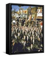 VP Richard Nixon at Turkey Parade During Appearance in Support of GOP Congressional Campaign-John Dominis-Framed Stretched Canvas