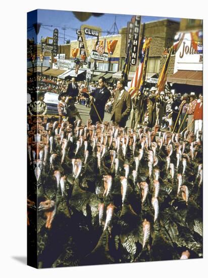 VP Richard Nixon at Turkey Parade During Appearance in Support of GOP Congressional Campaign-John Dominis-Stretched Canvas