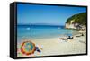 Vrika Beach, Antipaxos (Antipaxi), Ionian Islands, Greek Islands, Greece, Europe-Tuul-Framed Stretched Canvas