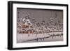 Vue d'un temple sous la neige-Ando Hiroshige-Framed Giclee Print