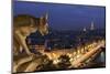 Vue panoramique depuis la galerie des chimères de la cathédrale Notre-Dame de Paris-Jean-Pierre Delagarde-Mounted Photographic Print