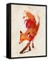 Vulpes Vulpes-Robert Farkas-Framed Stretched Canvas