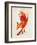 Vulpes Vulpes-Robert Farkas-Framed Art Print