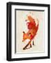 Vulpes Vulpes-Robert Farkas-Framed Art Print