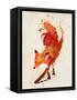 Vulpes Vulpes-Robert Farkas-Framed Stretched Canvas