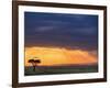 Vulture and Acacia Tree Silhouetted at Sunset, Masai Mara Game Reserve, Kenya-Adam Jones-Framed Photographic Print