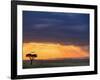 Vulture and Acacia Tree Silhouetted at Sunset, Masai Mara Game Reserve, Kenya-Adam Jones-Framed Photographic Print