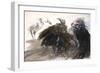 Vulture, nextinctions, folder, 5 (ink and acrylic on paper)-Ralph Steadman-Framed Giclee Print