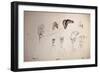 Vulture, nextinctions, folder, 9 (drawing)-Ralph Steadman-Framed Giclee Print