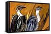 Vulture-Rabi Khan-Framed Stretched Canvas