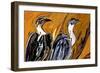 Vulture-Rabi Khan-Framed Art Print