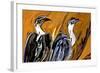 Vulture-Rabi Khan-Framed Art Print