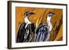 Vulture-Rabi Khan-Framed Art Print