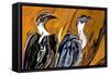 Vulture-Rabi Khan-Framed Stretched Canvas