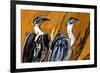 Vulture-Rabi Khan-Framed Art Print