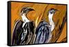 Vulture-Rabi Khan-Framed Stretched Canvas